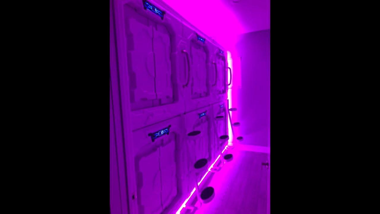 La Podlife Hotell Los Angeles Exteriör bild